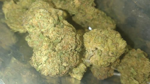 Customer photo review of Alien ET