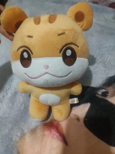 Customer photo review of Ateez x ANITEEZ IN ILLUSION Plush Doll