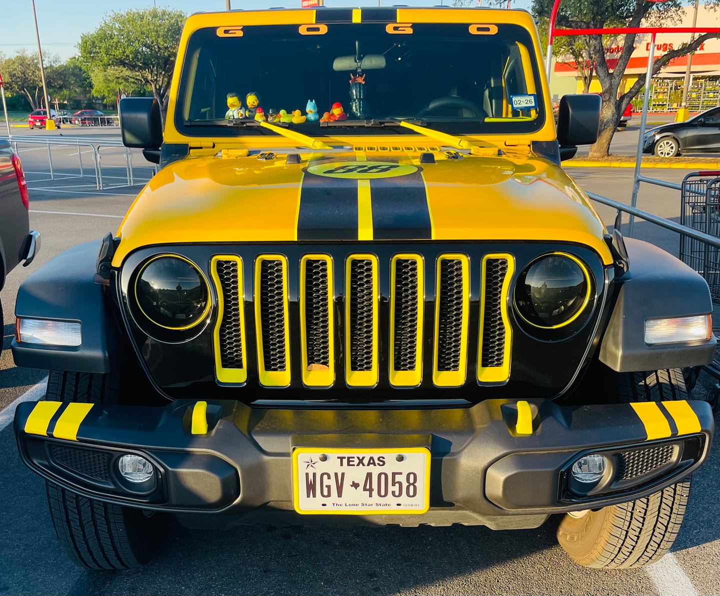 Customer photo review of Windshield Lettering