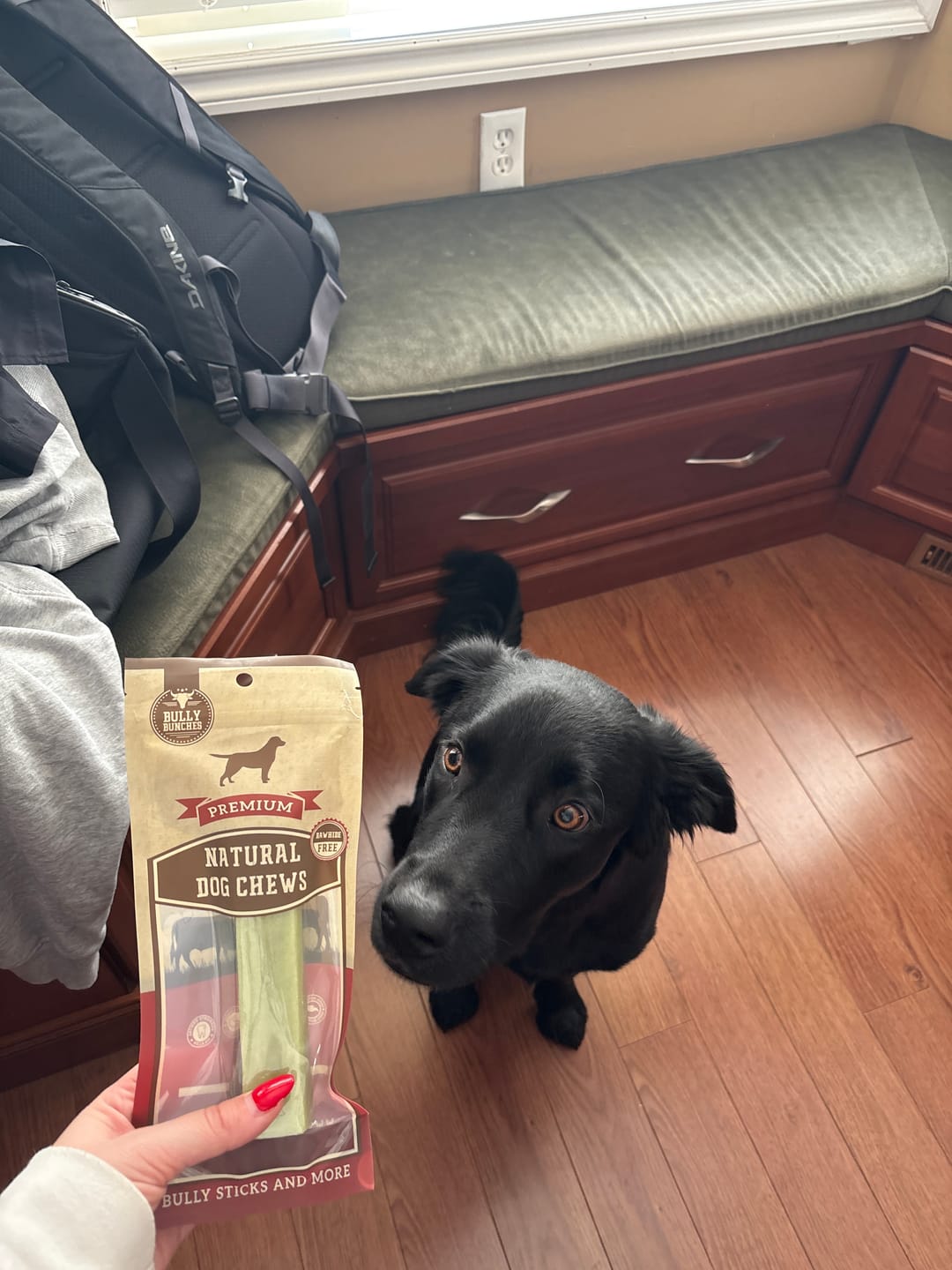 Customer photo review of Mint Himalayan Yak Chew (MEDIUM)