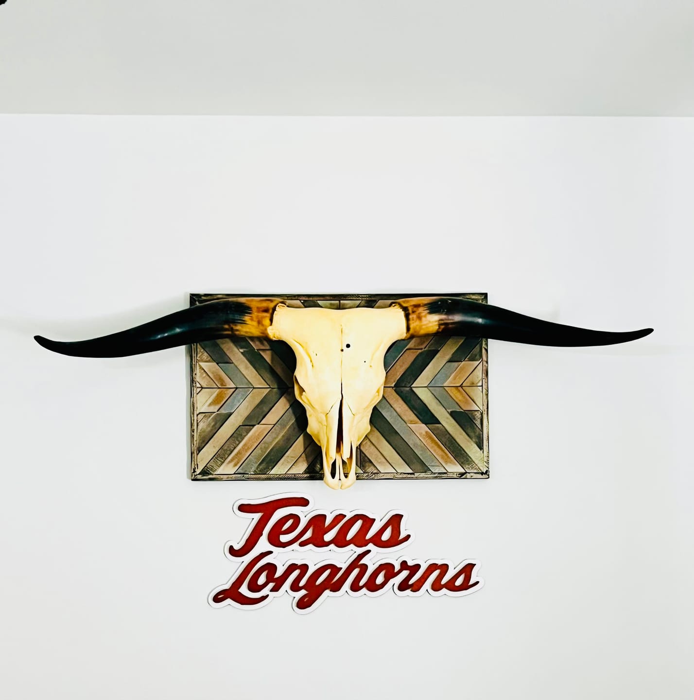 Customer photo review of Texas Longhorns Script 3D Vintage Metal Wall Art