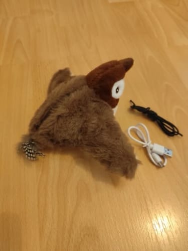 Customer photo review of Pet Joy