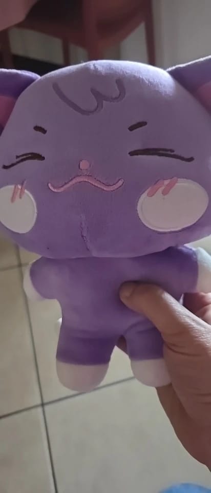 Customer photo review of Ateez x ANITEEZ IN ILLUSION Plush Doll