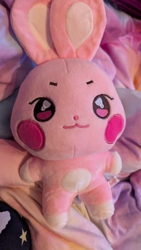 Customer photo review of Ateez x ANITEEZ IN ILLUSION Plush Doll