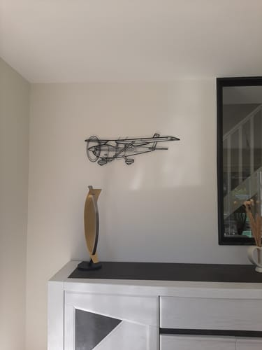 Customer photo review of 182Q Skylane Angle Silhouette Metal Wall Art