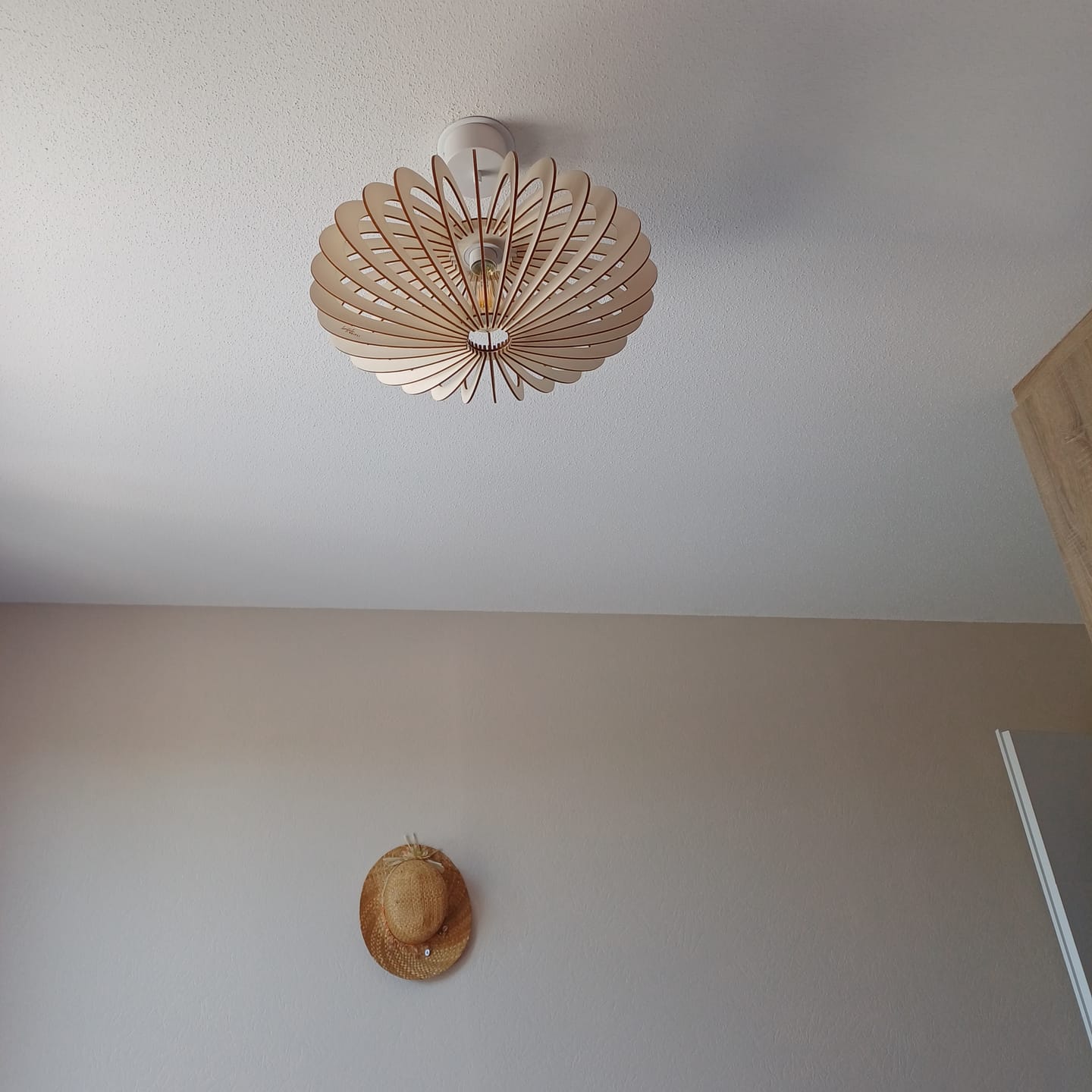 Customer photo review of Mini NEO | Suspension