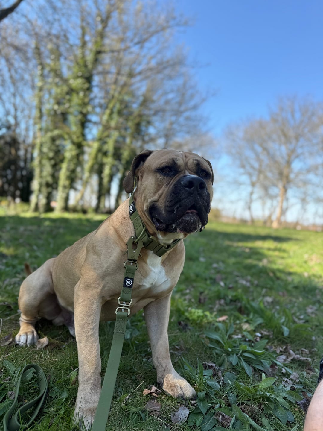 Customer photo review of 4cm Combat Billowthane® Collar | Waterproof - Khaki