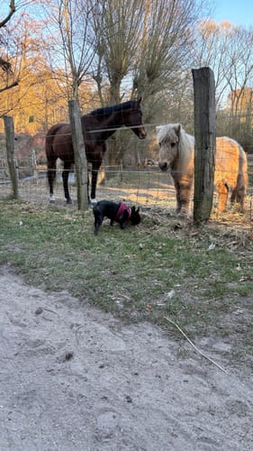 Customer photo review of Easy Squeezy