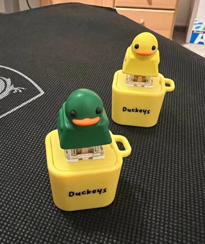 Customer photo review of Quackey - Fidget Toy that Quacks!