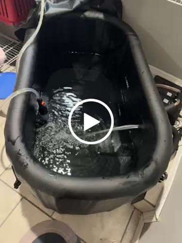 Customer video review of Triumph Ice Bath Pro