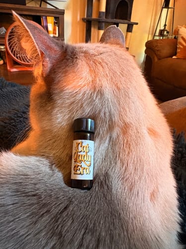 Customer photo review of Cat Lady Era