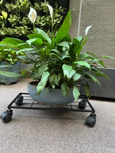 Customer photo review of United Crafts Aory High-Quality Wheel Metal Stands
