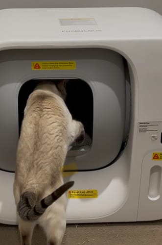 Customer photo review of Furbulous Smart Cat Litter Box (Updated version) - Automatic Self-Cleaning with App Control and Remote Monitoring