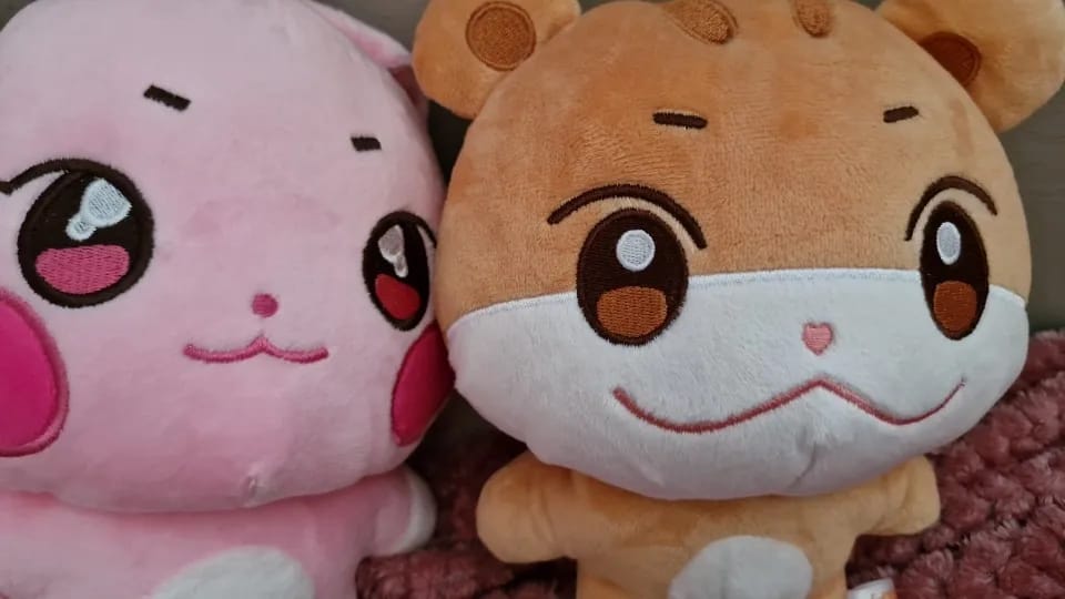 Customer photo review of Ateez x ANITEEZ IN ILLUSION Plush Doll