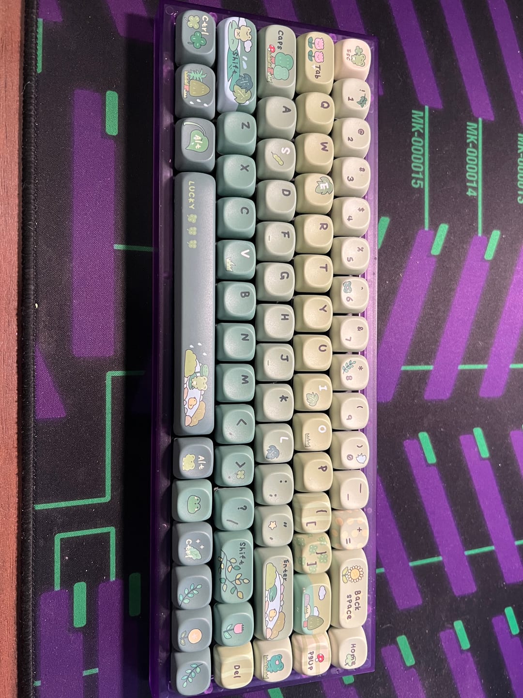 Customer photo review of KiiBOOM X Cosydiaries Rainy Froggy Day Keycap Set