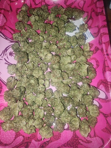 Customer photo review of Oreoz THCA Flower