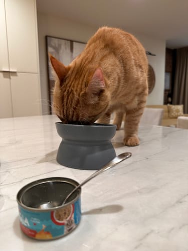 Customer photo review of Flaked Variety Pack, 2.8-oz