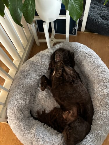 Customer photo review of CalmBed - Motverkar stress & hjälper mot ångest