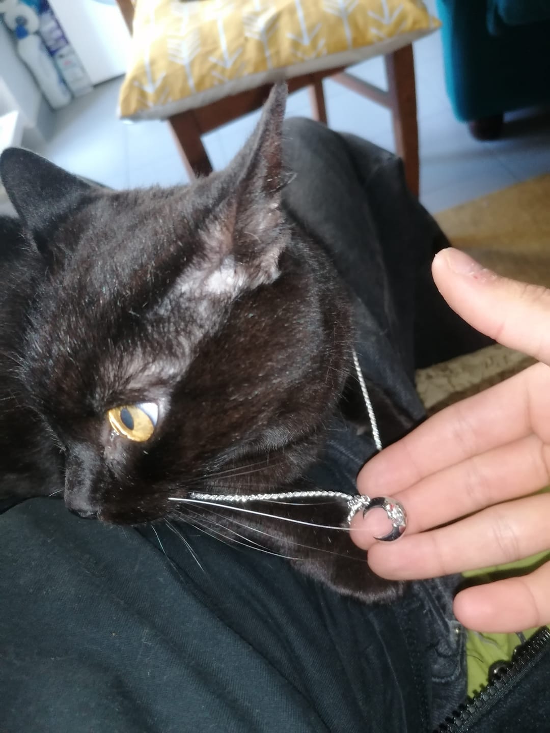 Customer photo review of LUNA THE LUNATIC LUNAR PENDANT