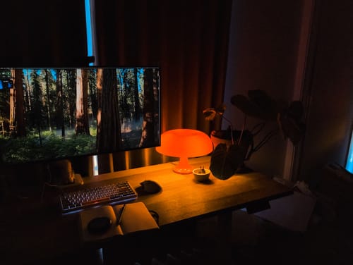 Customer photo review of Puffball Lamp | Blood Orange