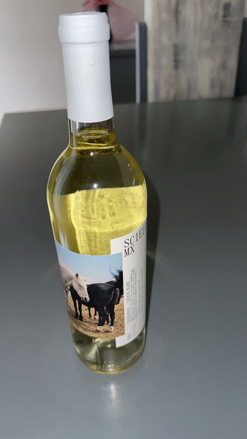 Customer photo review of SCIELO MX Blanco