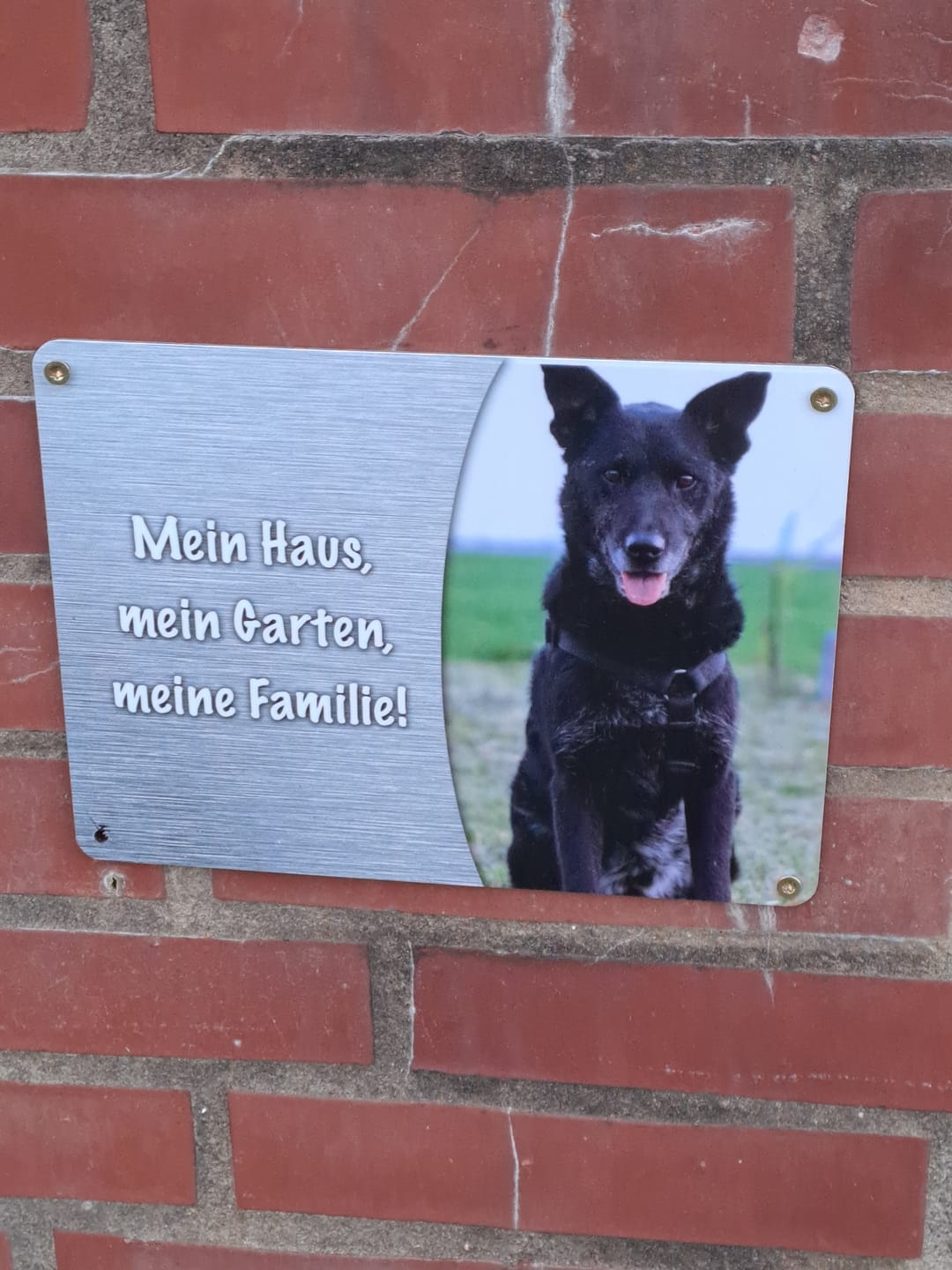Customer photo review of Hunde-Türschild personalisiert mit Foto & Text (UV- und wetterfest)