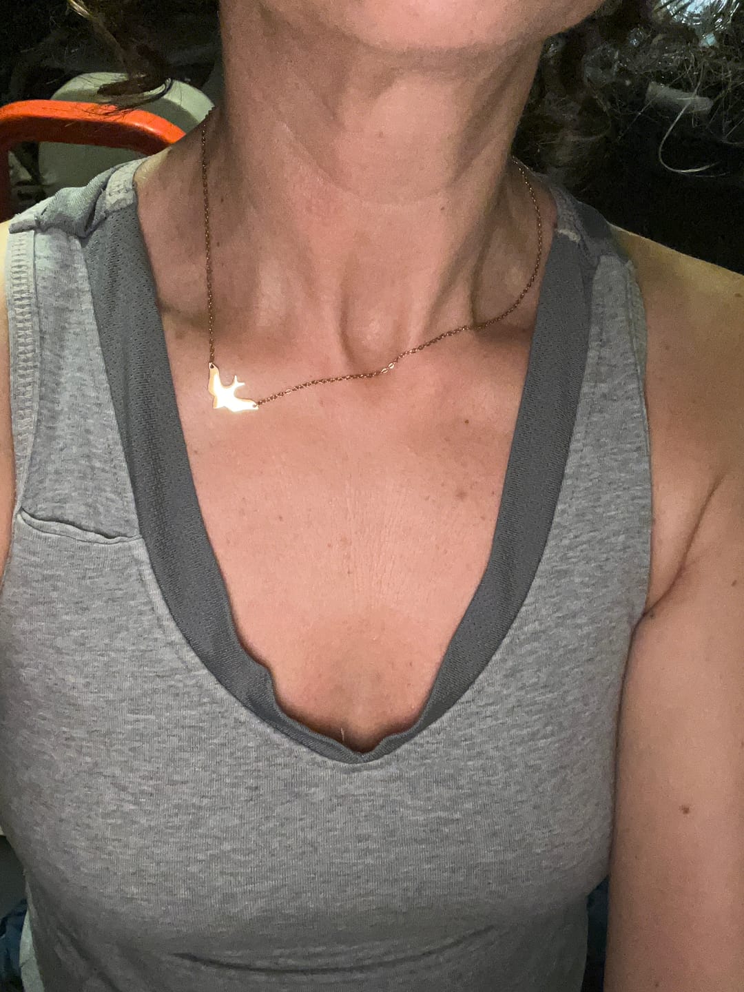 Customer photo review of Soaring Dove Sideways Necklace