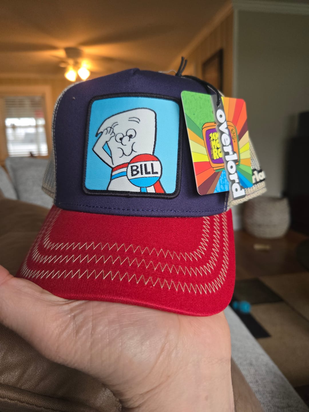 Customer photo review of OVERLORD X Schoolhouse Rock!: Bill Trucker Cap