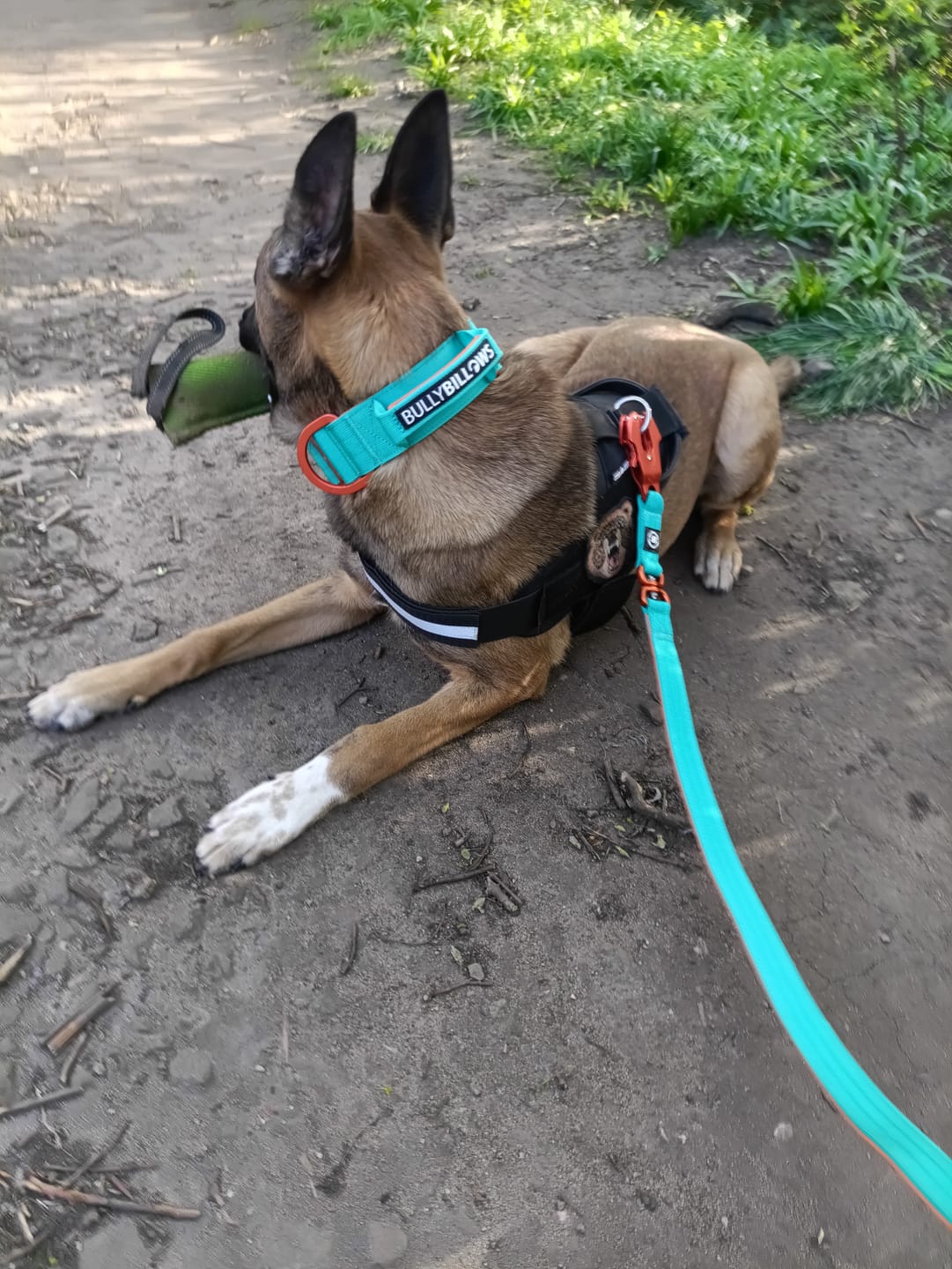 Customer photo review of 1.4m Lighter Swivel Combat Lead | Anti-Tangle & Secure Clip - Turquoise x Orange
