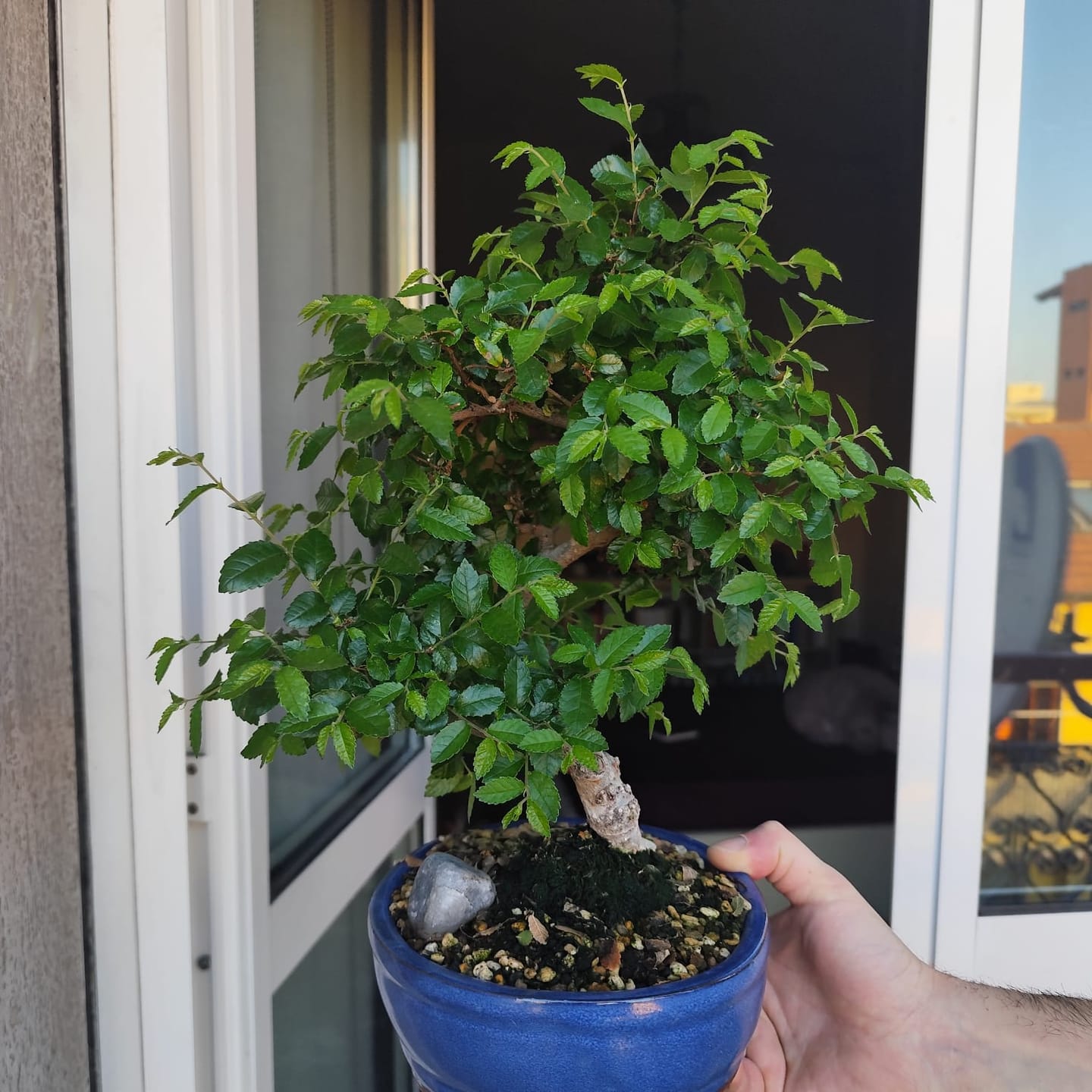 Customer photo review of CHERNOBYL CB® (Autunno Nucleare 2.0)