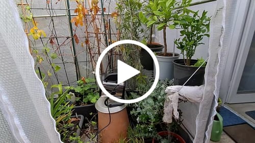 Customer video review of Gewächshausheizung "Palma TWIN" mit digitalem Thermostat 1000 W / 2000 W