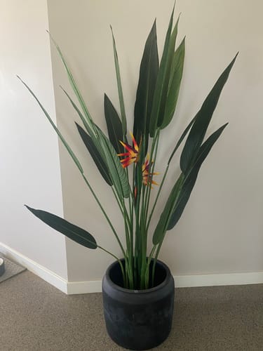 Customer photo review of Strelitzia Kunstplant Met Bloem 110cm