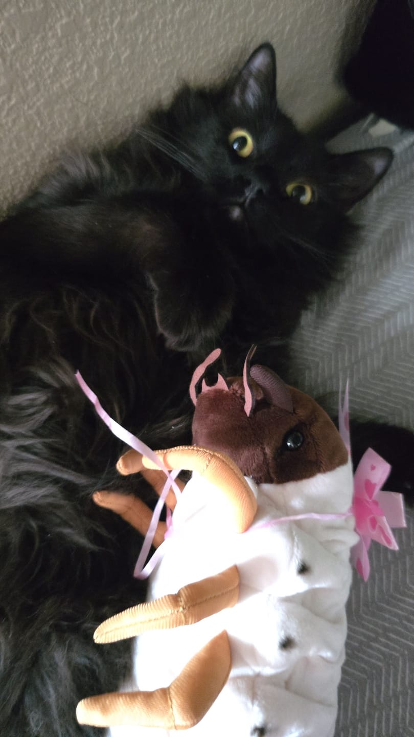 Customer photo review of White Grub Soft Stuffed Plush Toy