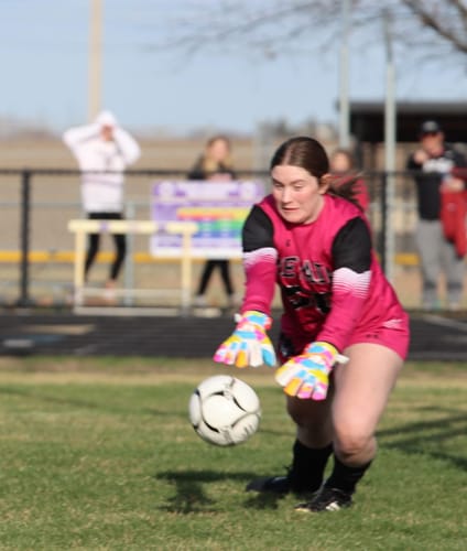 Customer photo review of Duenna Match Glove
