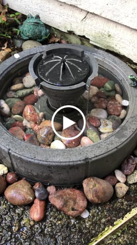 Customer video review of Two Button Fountain Pump and Battery Compartment - no connection port