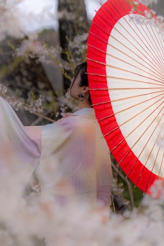 和心　- Wagokoro - 黒さくらに関するお客様の写真付きレビュー
