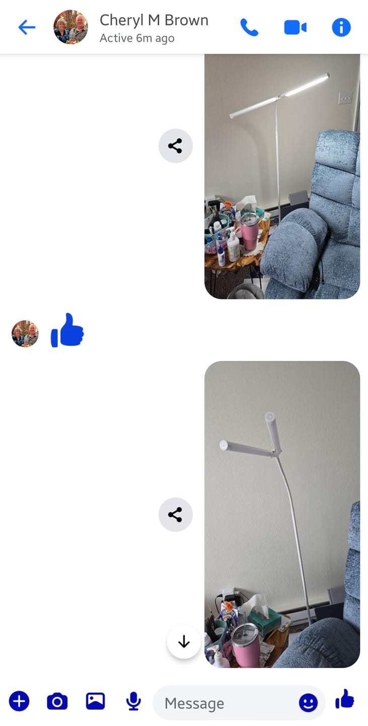 Customer photo review of Daylight DuoPro Floor Lamp