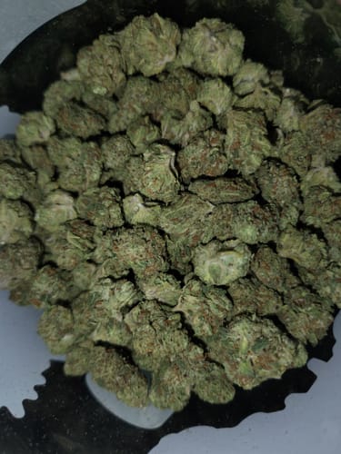 Customer photo review of Platform Purple