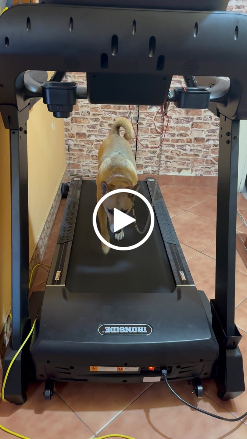 Customer video review of Caminadora Comercial X8 LED IRONSIDE Glam