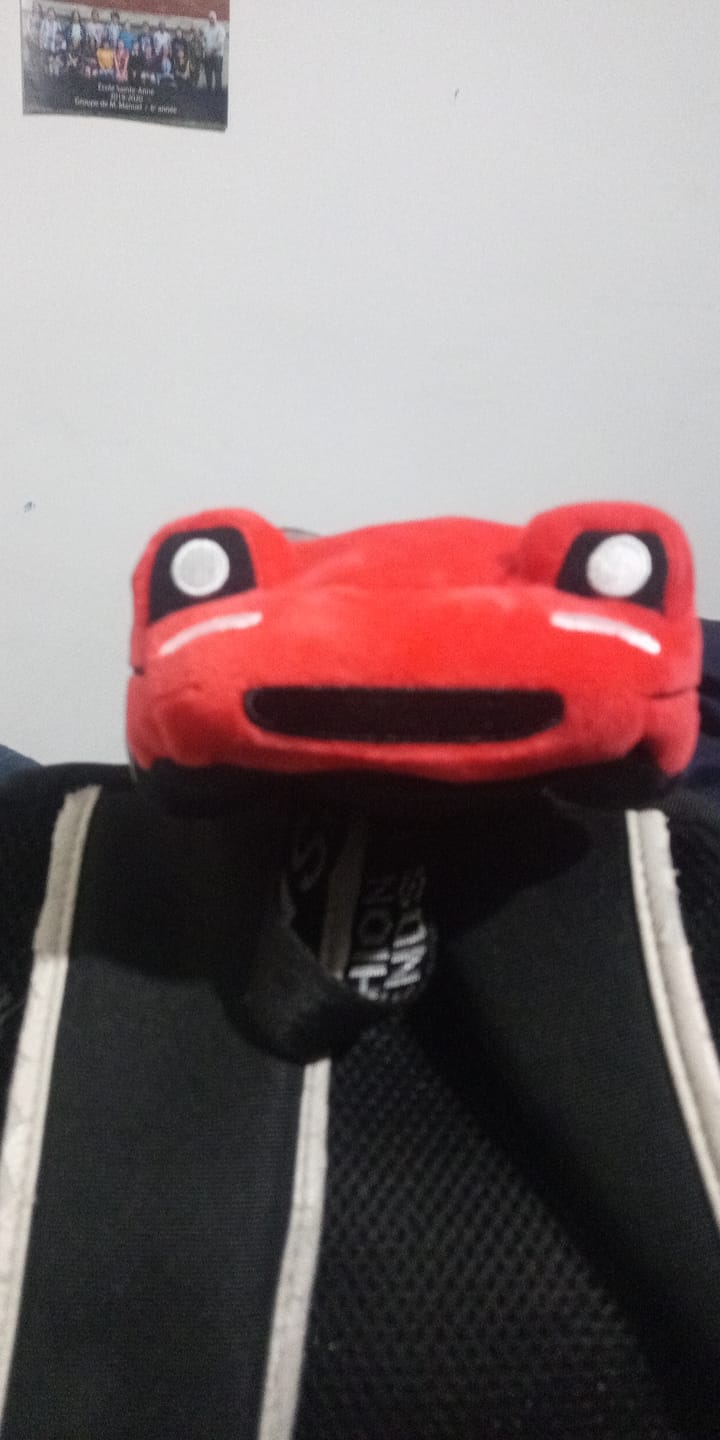 Customer photo review of Miata MX5 Plushie