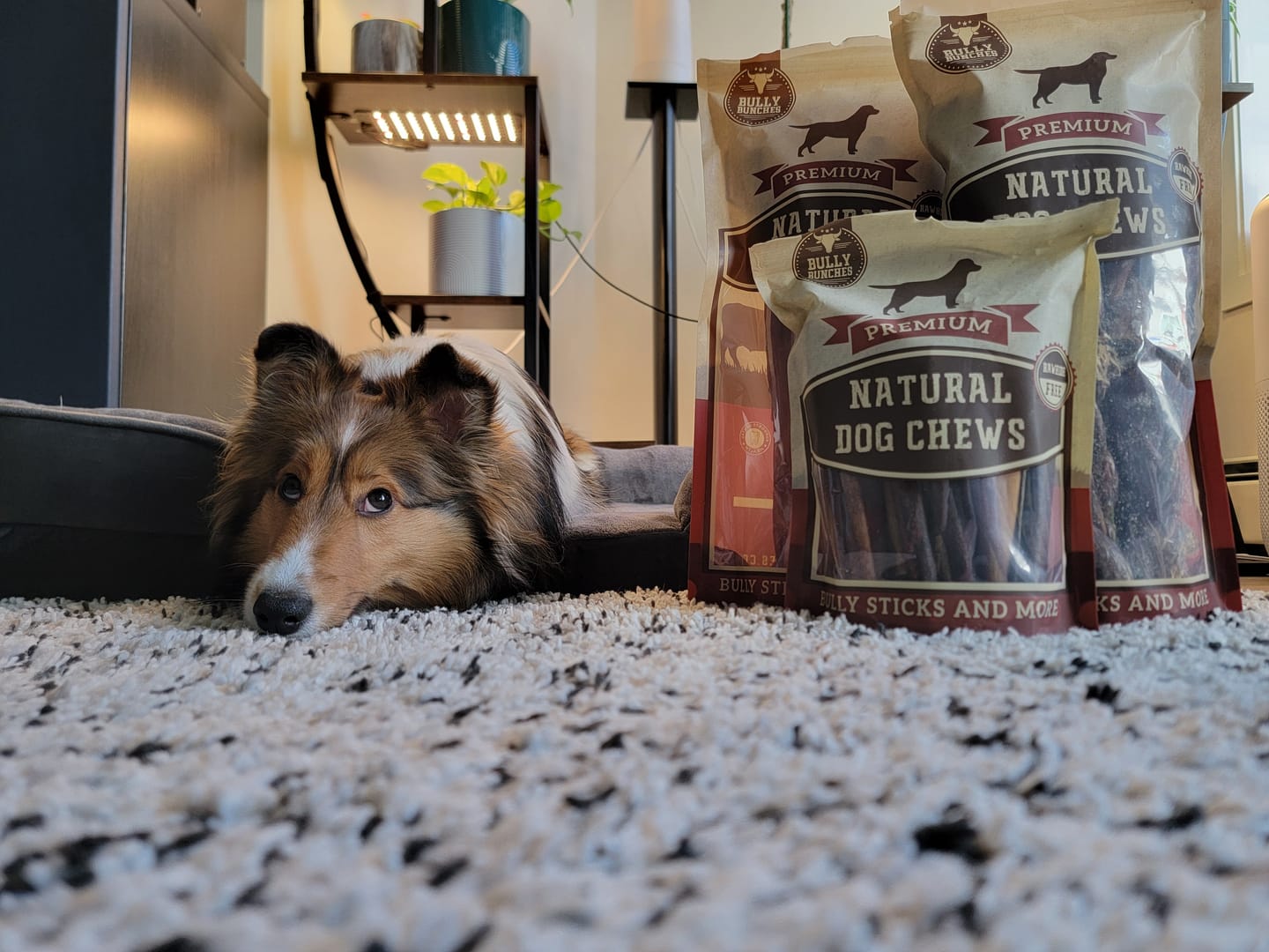 Customer photo review of 6 Inch Braided Jerky Stick