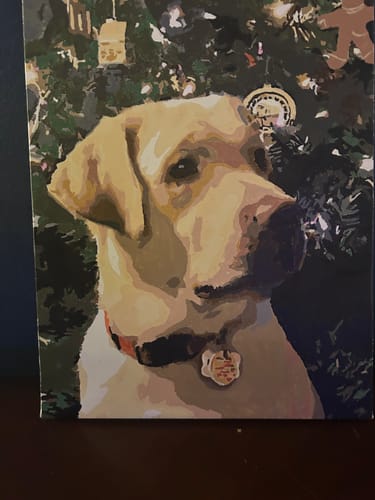 Customer photo review of Intro To Paint By Numbers