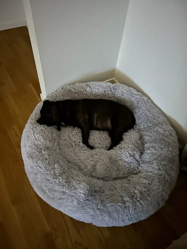 Customer photo review of CalmBed - Motverkar stress & hjälper mot ångest