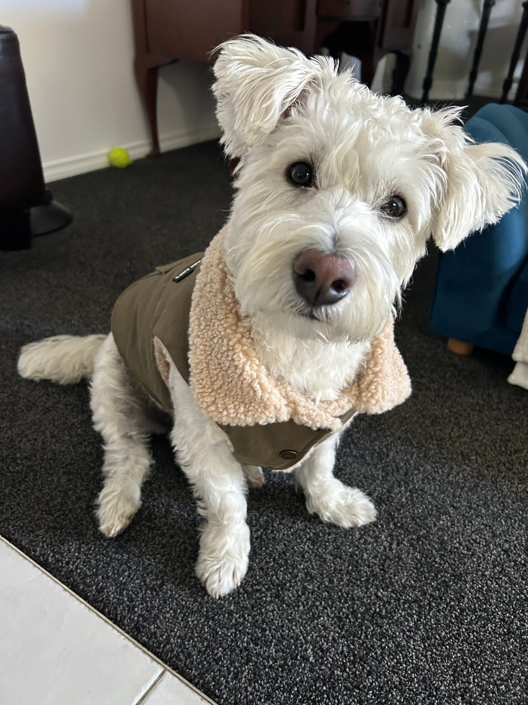 Customer photo review of Workdog Insulated Utility Jacket - Green