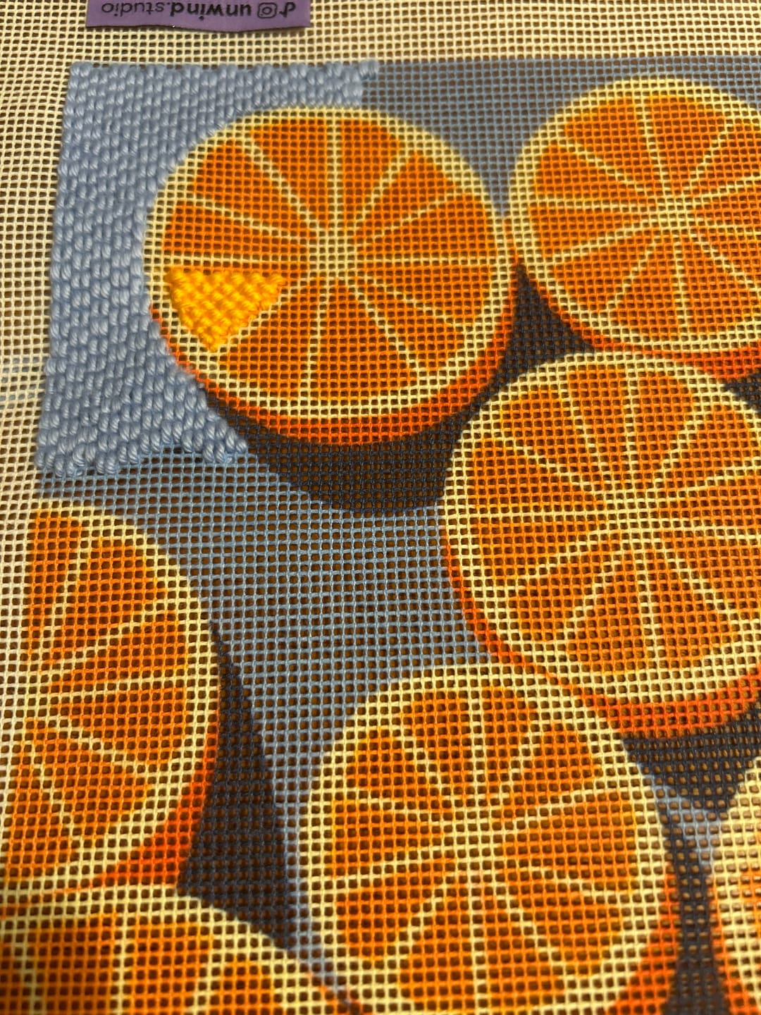 Customer photo review of Agrumes Needlepoint Kit