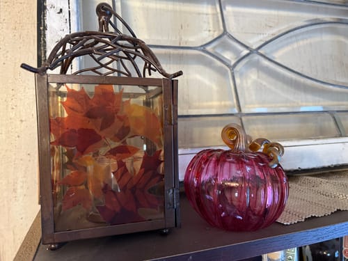 Customer photo review of $29 Mystery Pumpkin
