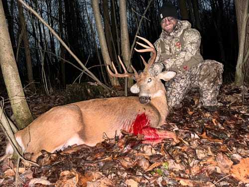 Customer photo review of Beast Broadheads - TRUMP Edition