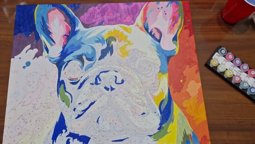 Customer photo review of Colorful Canine Contemplation