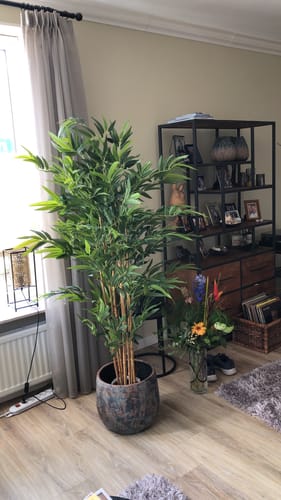 Customer photo review of Bamboe Kunstplant 180 cm