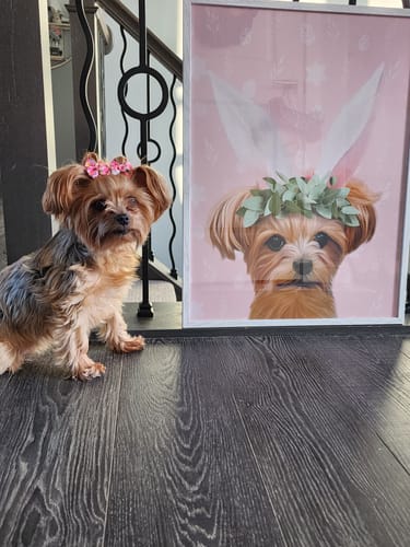 Customer photo review of Ultimate Bundle: 10 Pack